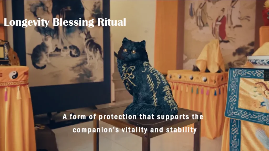 spiritual vitality orb-cover